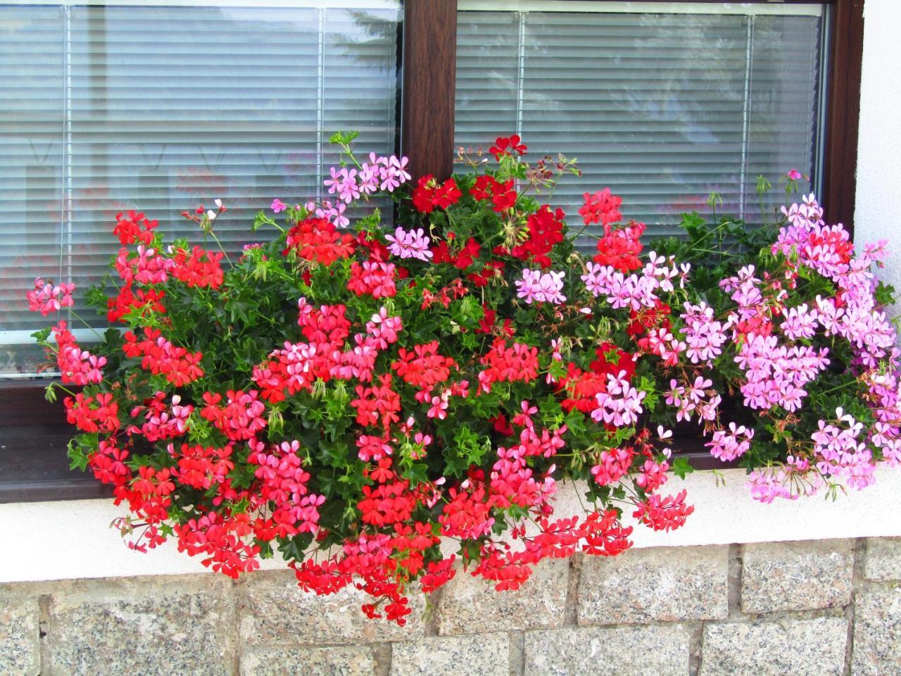 Penzion Pohlednicka Hotel Benecko Exterior photo